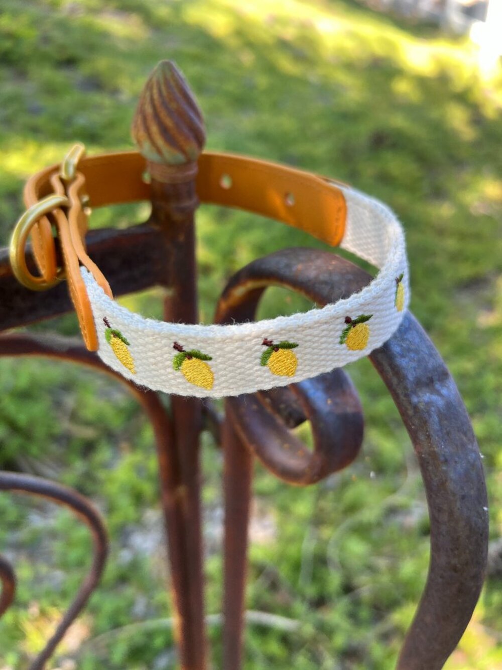 NWOT - Anthropologie Dog Collar - Icon - Lemons & Leather - Small